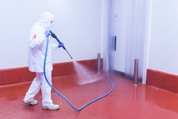 Best Building Exterior Washing  in Cascade, IA