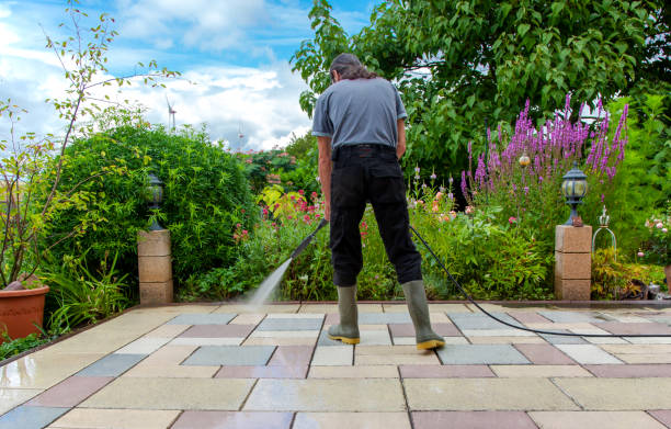 Best Sidewalk and Walkway Cleaning  in Cascade, IA